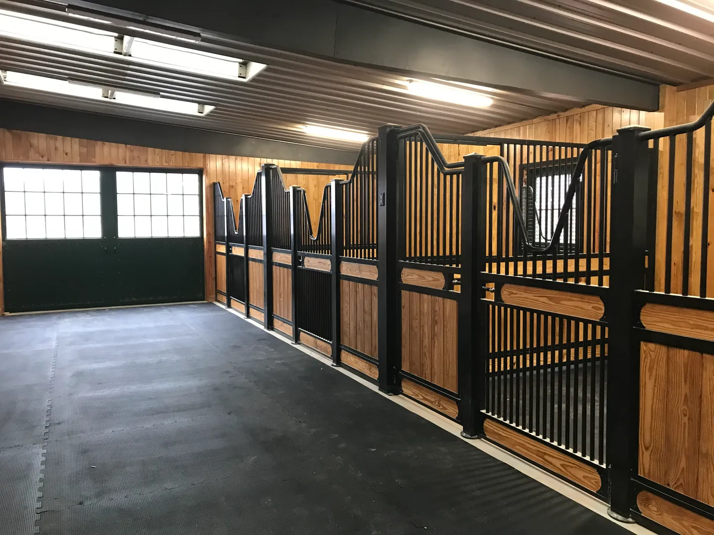 Modern horse stable with metal gates