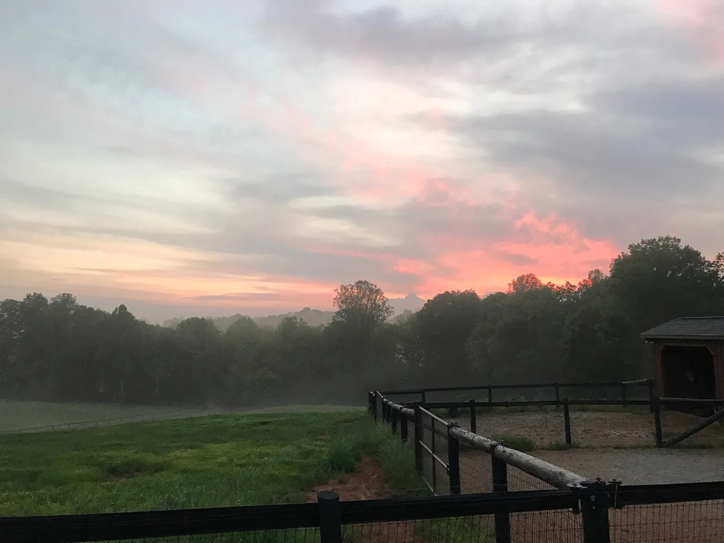 Pastel sky above grassy field
