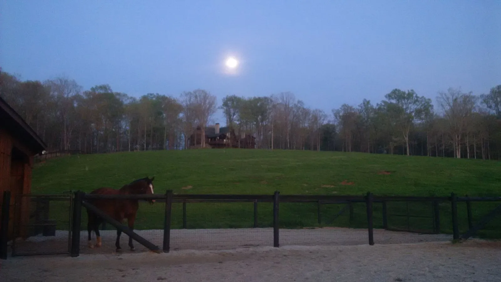 Evening pasture with horse and full moon