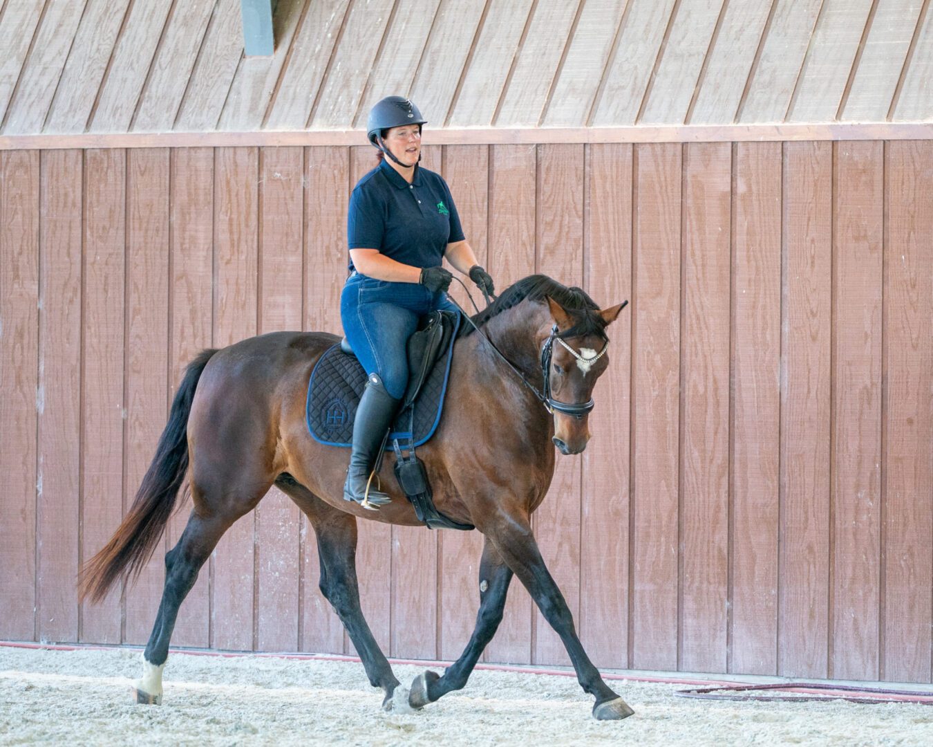 Rider on bay horse in indoor arena