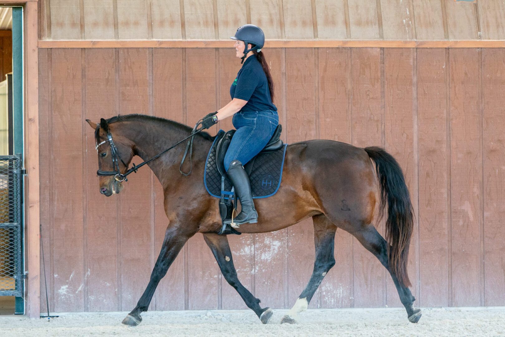 Person riding bay horse in indoor arena